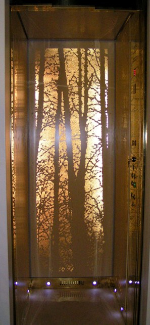 MINOLTA DIGITAL CAMERA